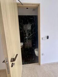 Klimt Cairnhill (D9), Apartment #504385601